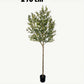 BrightStarAngel™ Artificial Olive Tree Plant