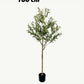 BrightStarAngel™ Artificial Olive Tree Plant