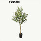 BrightStarAngel™ Artificial Olive Tree Plant