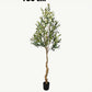 BrightStarAngel™ Artificial Olive Tree Plant