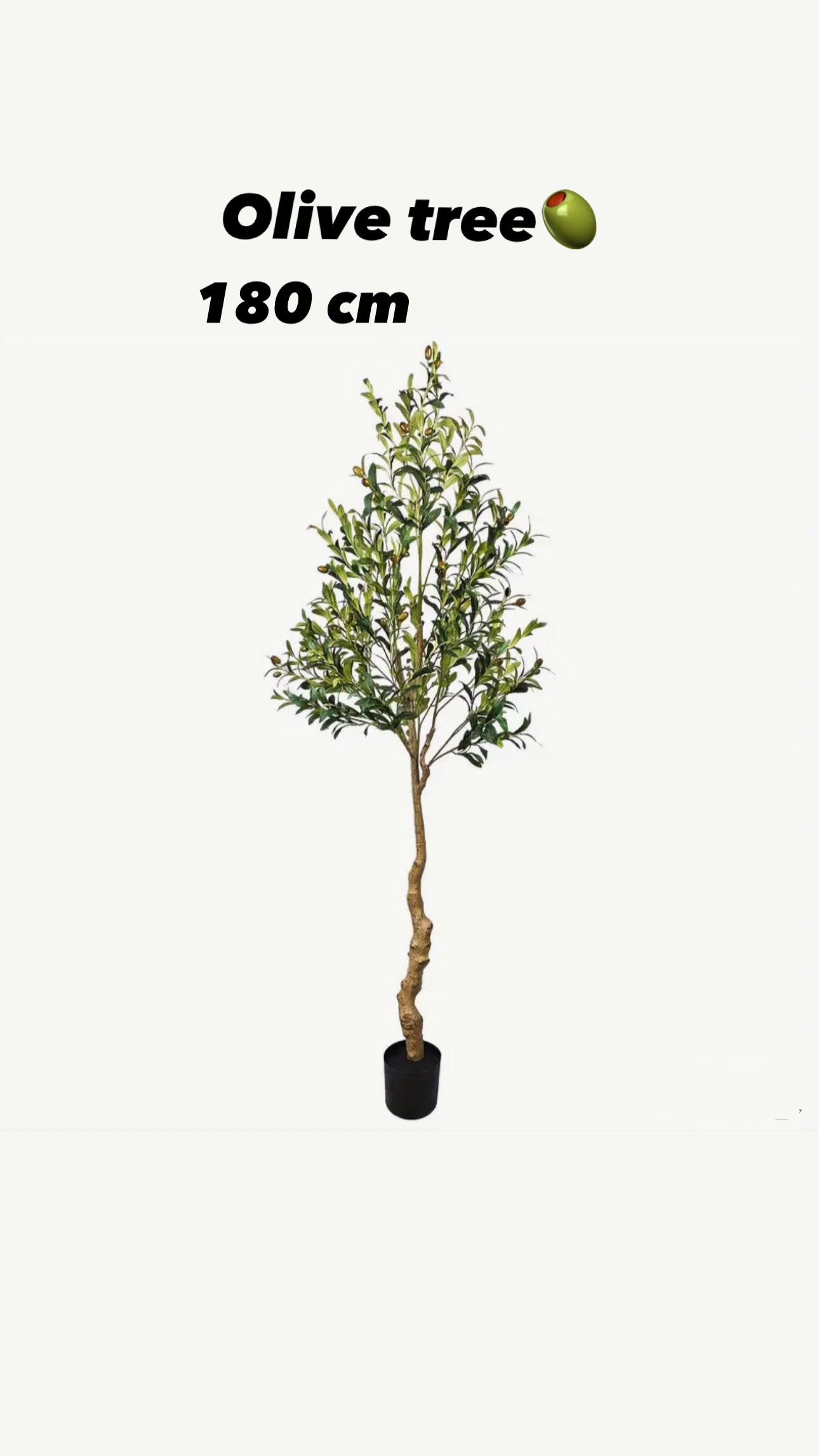 BrightStarAngel™ Artificial Olive Tree Plant