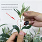 BrightStarAngel™ Artificial Olive Tree Plant
