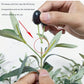 BrightStarAngel™ Artificial Olive Tree Plant