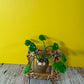 Mini Monstera Plant Magnet Framed