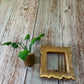 Mini Monstera Plant Magnet Framed