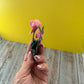 Pink Orchid Magnet