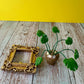 Mini Monstera Plant Magnet Framed