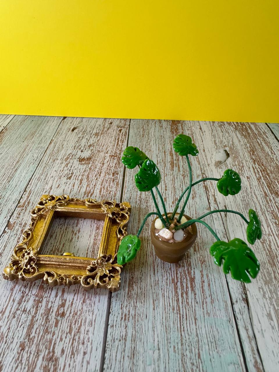 Mini Monstera Plant Magnet Framed