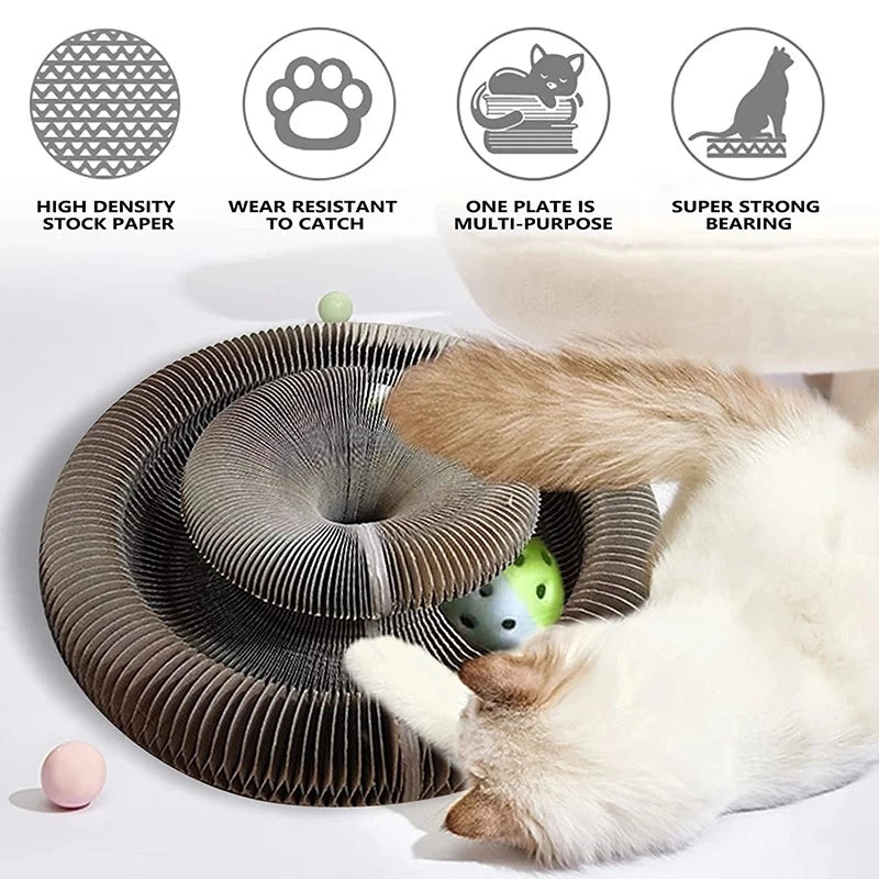 Turbo transform clearance it cat toy